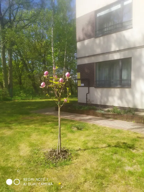 Студия в элитном доме с видом на море