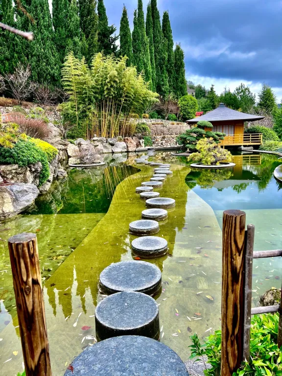 Премиум студия с террасой на 1 линии