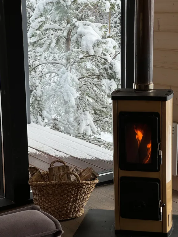 Дача в лесу с панорамными окнами