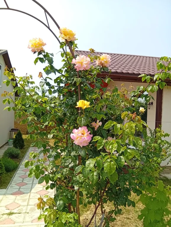 Уютный дом у моря