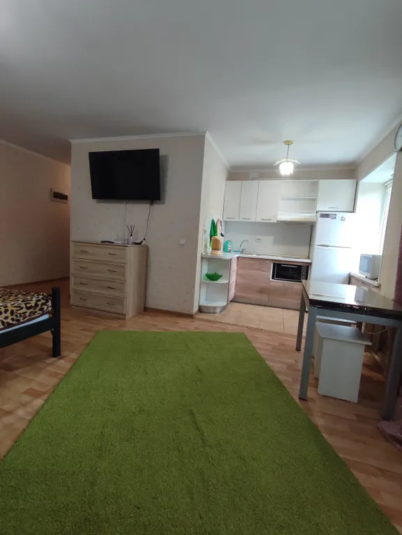 Уютная однокомнатная квартира