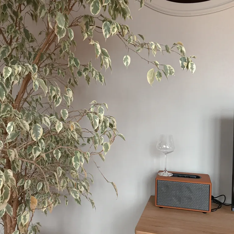 Шикарные апартаменты Фриды Кало в самом центре