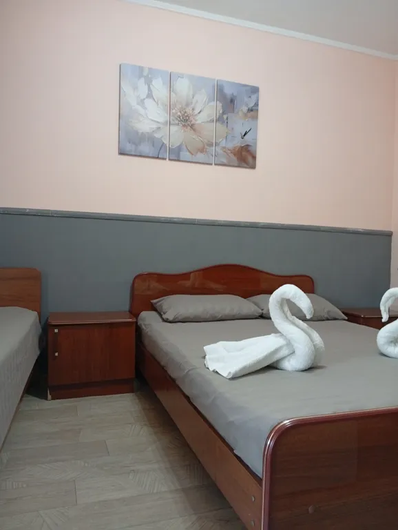 с одной двуспальной или 2 односпальными кроватями и доп спальным мест