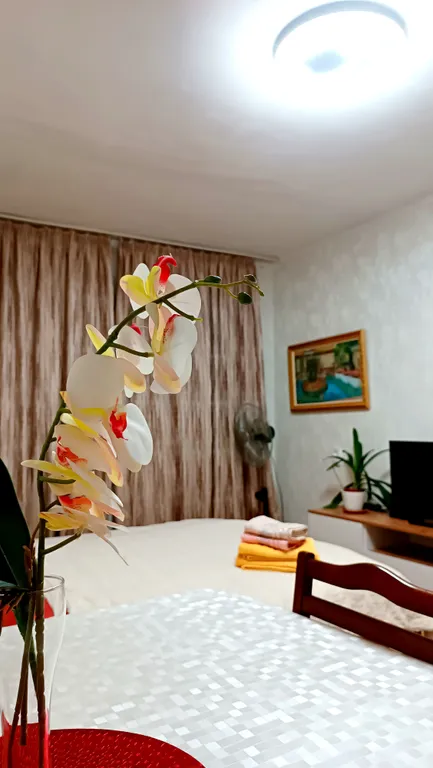 Уютная квартира на Алматинском Арбате