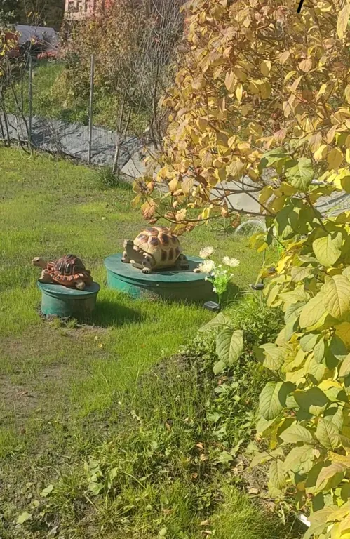 Уютный дом с баней для комфортного отдыха