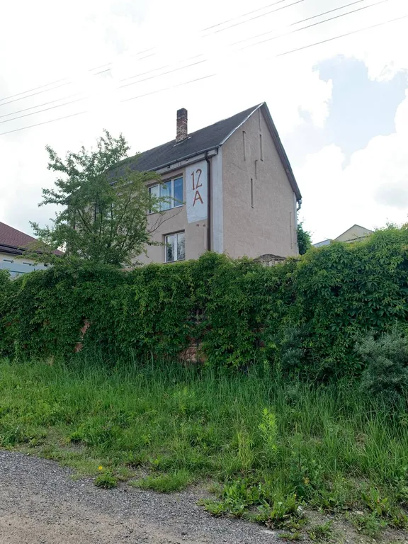 Коттедж Большой дом с бассейном и диско, в ретро стиле около аэропорта Минск — аренда посуточно в Минск