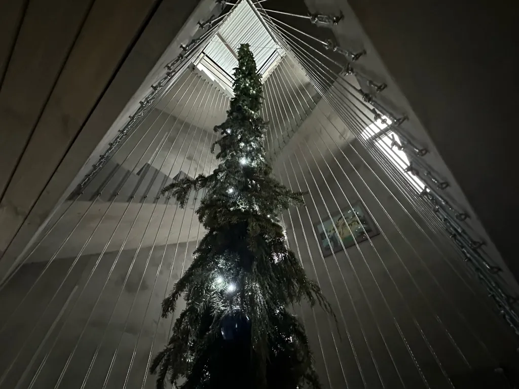 Куб-Терра студия Мини-Макс