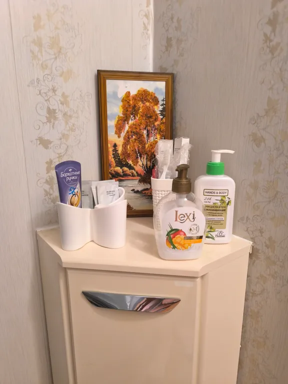 Квартира рядом с лыжной базой в Новоильинском районе