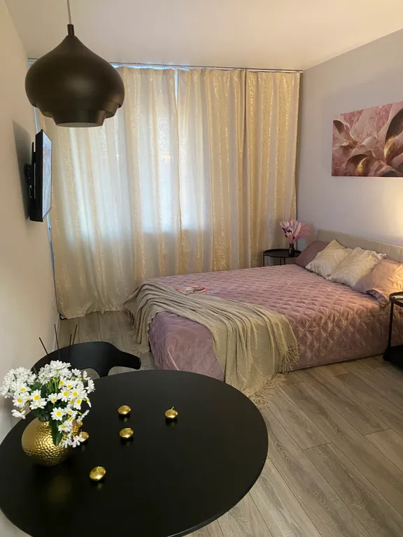 Уютная квартира студия для проведения романтического вечера — аренда посуточно в Мурино