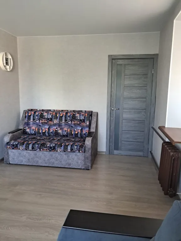 Уютная однокомнатная квартира