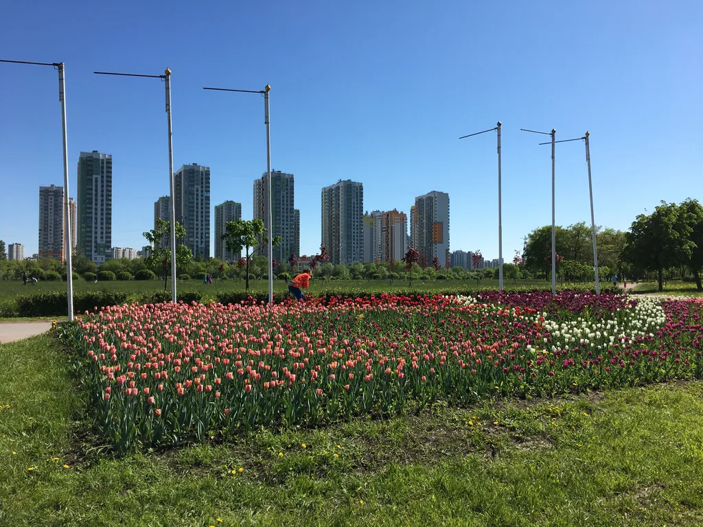 Квартира Уютная квартира Sofi для уютного отдыха — Санкт-Петербург