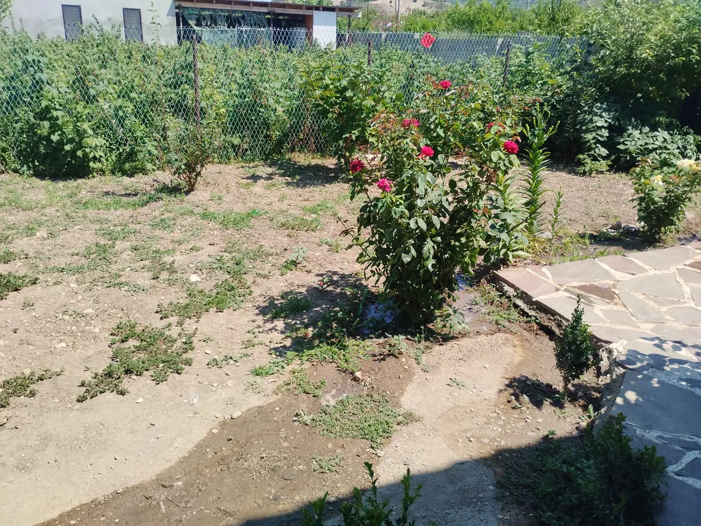 Коттедж у сулакского каньона