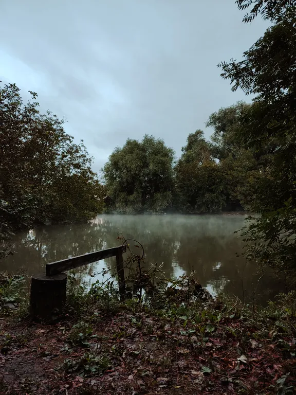 Уютный домик с баней на территории Тихого пруда