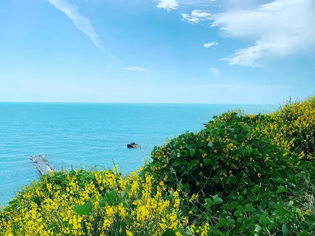 Уютная студия у моря