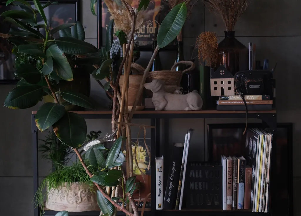 Студия в самом центре города