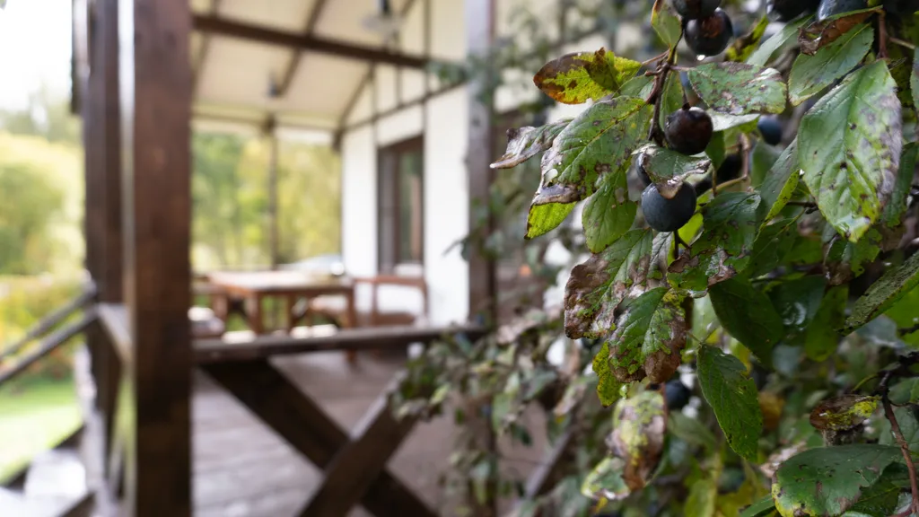 Красивый домик в лесу у реки