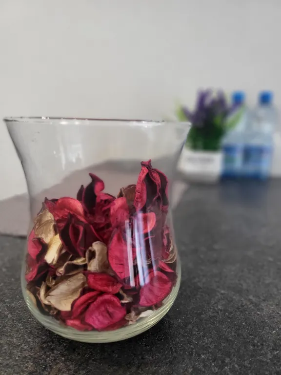 Квартира Квартира рядом с морем — Пионерский