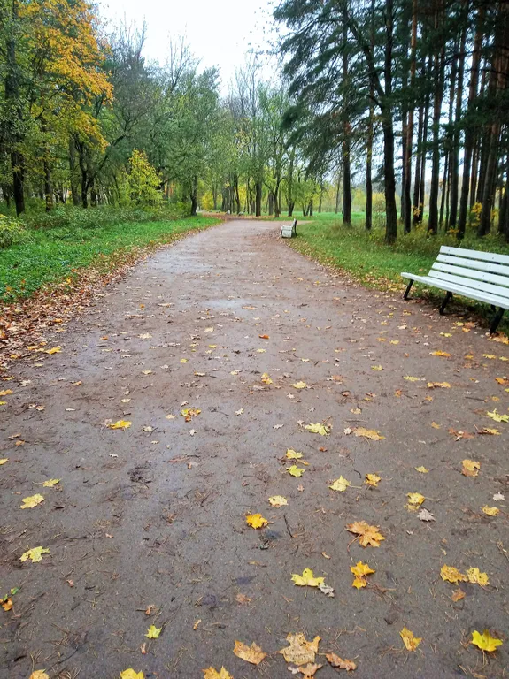 Двухкомнатная квартира в Новом Петергофе