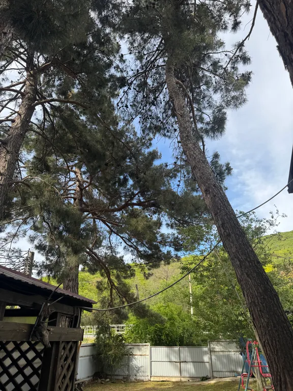 Домик в 7-ми соснах