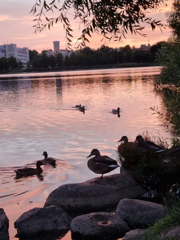 Дизайнерская 2-уровневая квартира на берегу Финского залива