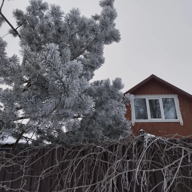 Дом до 11 человек