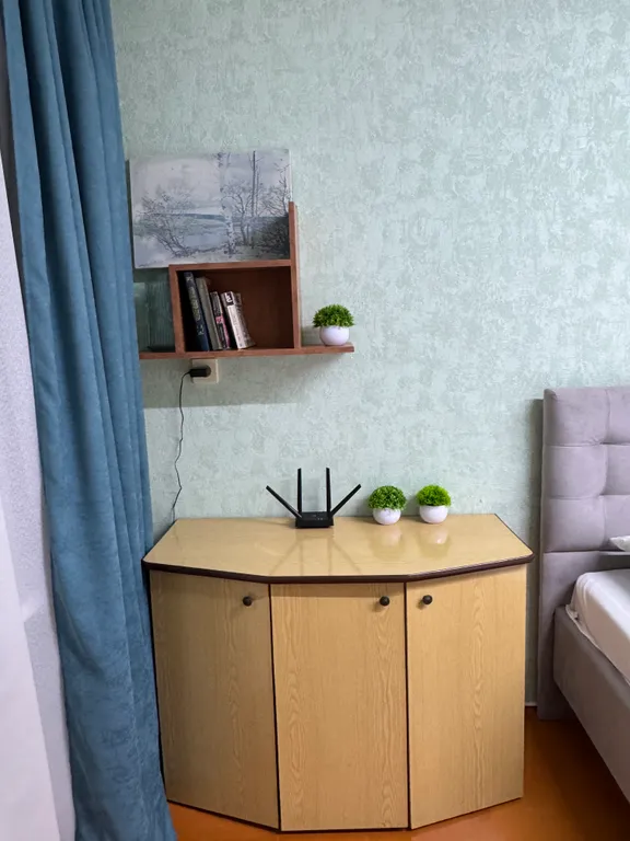 Квартира рядом с Коллажем, памятником Победы