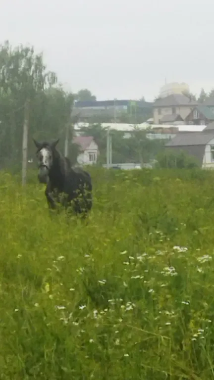 Уютный коттедж до 10 гостей с удобной локацией для торжеств и отдыха