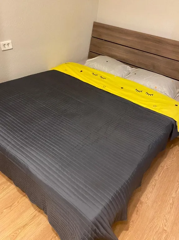 Уютная комфортная квартира в самом центре города — аренда посуточно в Воронеж