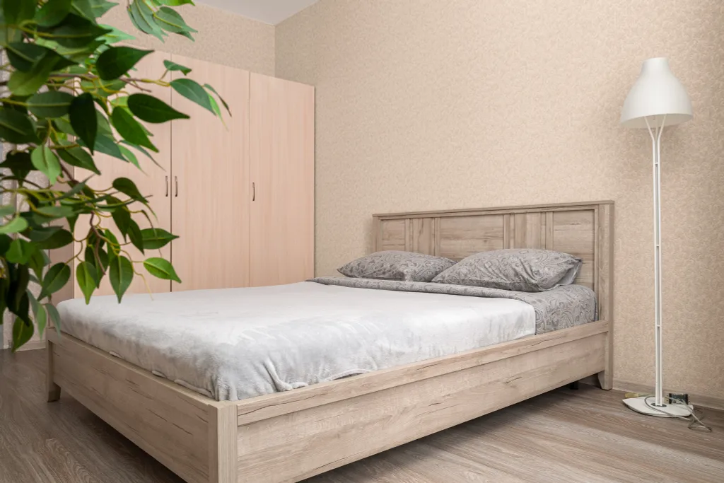 Квартира с видом на стадион