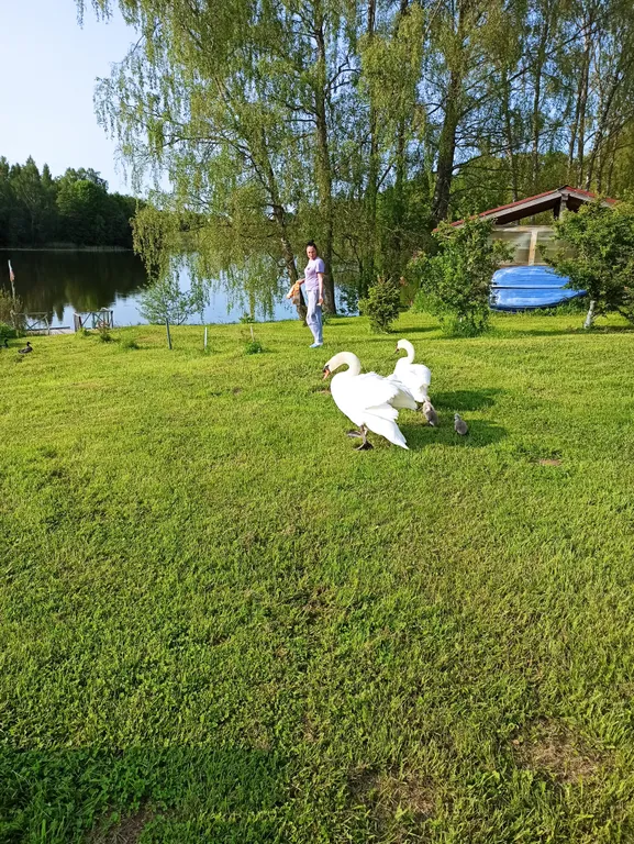 Гостевой дом Белькино 1.