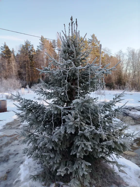 Дом с баней