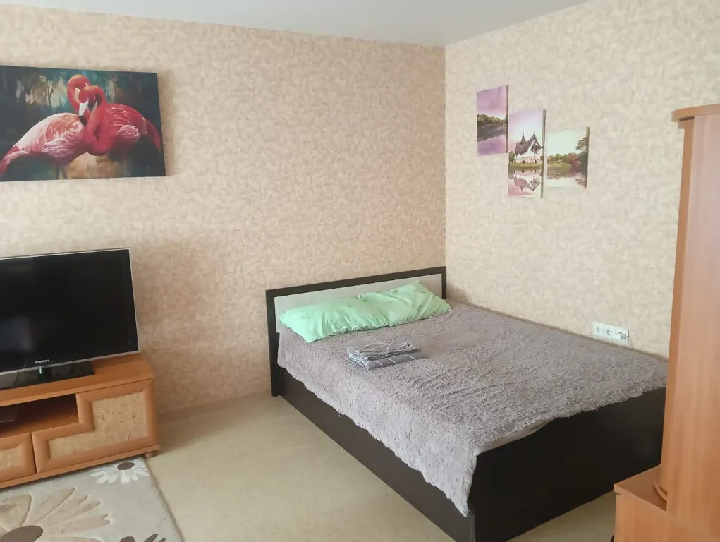 Уютная 1-комнатная квартира в отличном районе города — аренда посуточно в Южно-Сахалинск