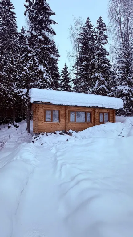 Коттедж Гостевой дом в лесу — аренда посуточно в Пермь
