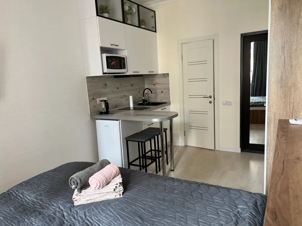 Бесконтактное заселение студия в ЖК Спутник