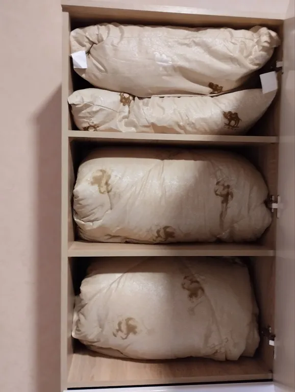 Уютная квартира с видом на стадион в ЖК Панораме