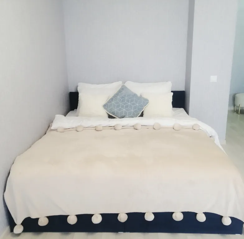 Новая однушка на центральной улице города