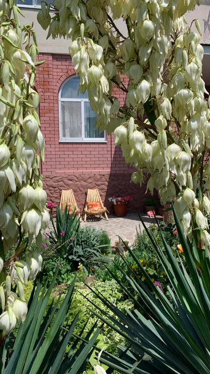 Квартира Квартира Гостевой дом Relaxtut — Анапа