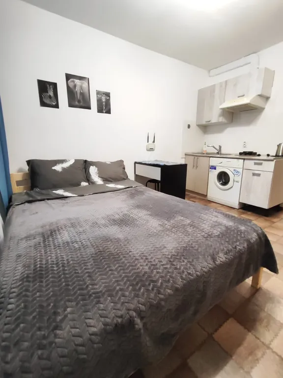 Уютная квартира-студия