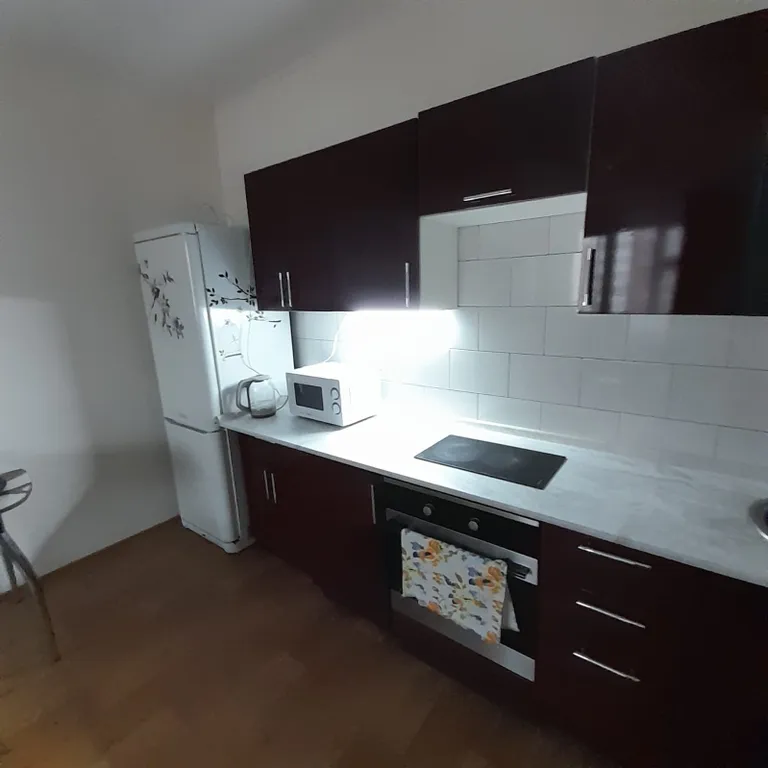 Однокомнатная квартира по типу евродвушки