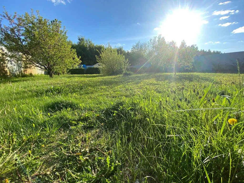 Загородная Усадьба Лесной Рай