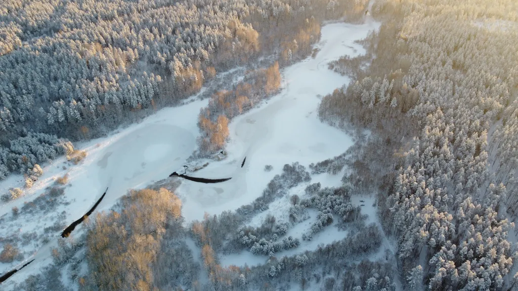 Домик в диком лесу на берегу реки