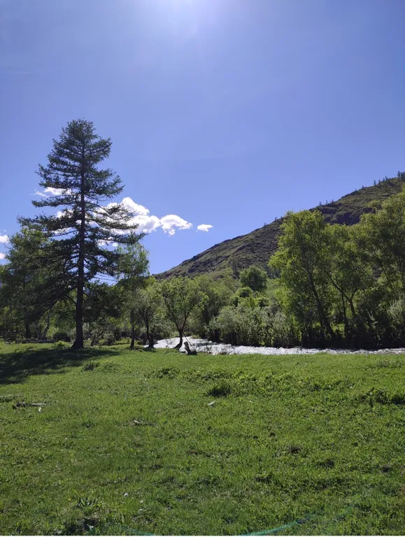 Гостевой номер для двоих