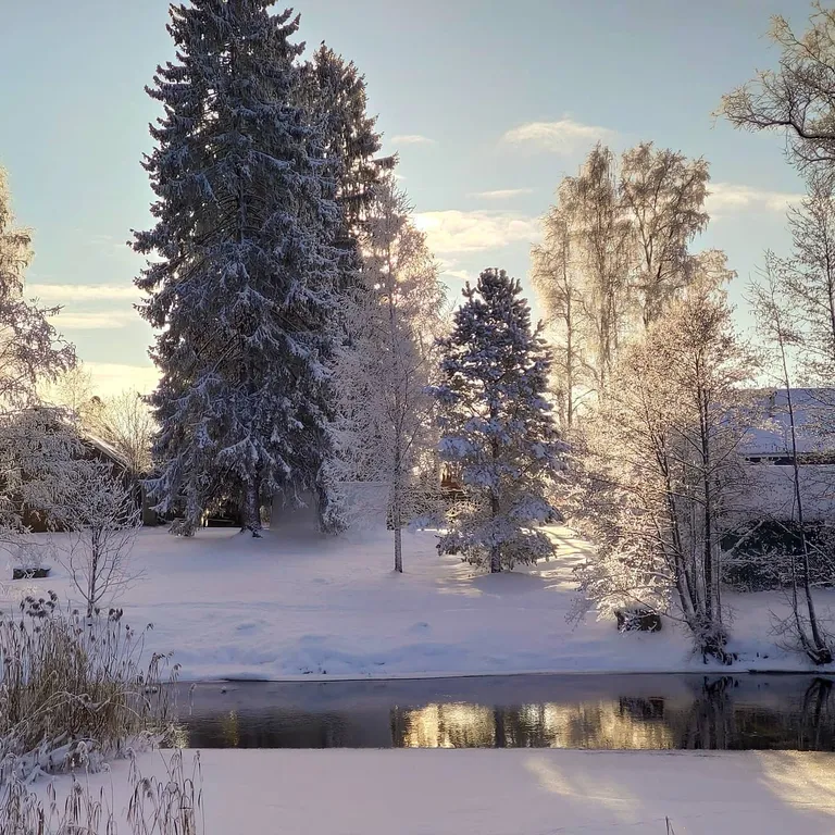 Коттедж Дом с террасой прямо на берегу реки — Торфяное