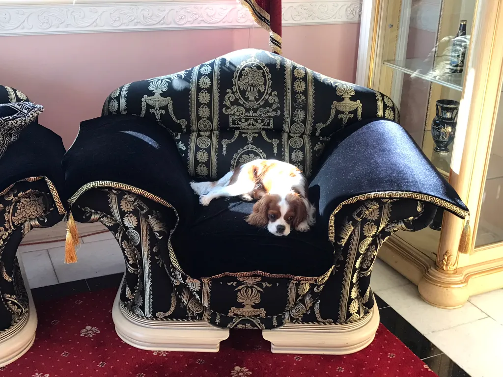 Дом в Сочи с видом на море