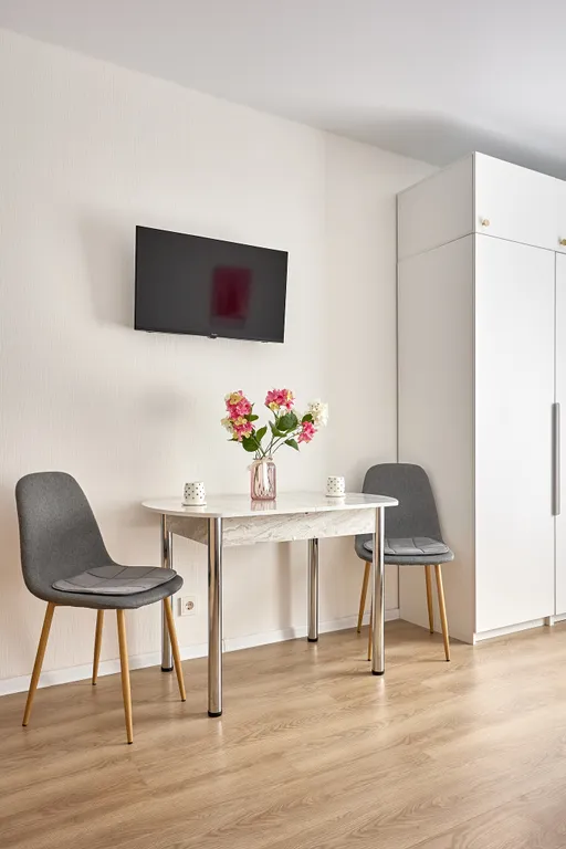 Студия 25 квадратных метров рядом с Аэропортом Внуково