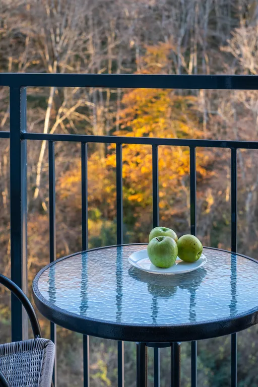 Студия с новым ремонтом и видом на горы