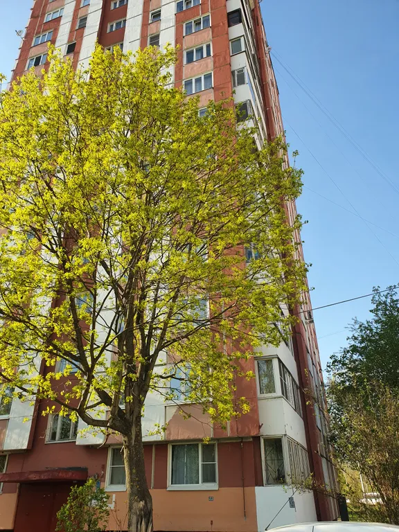 Вид на реку
