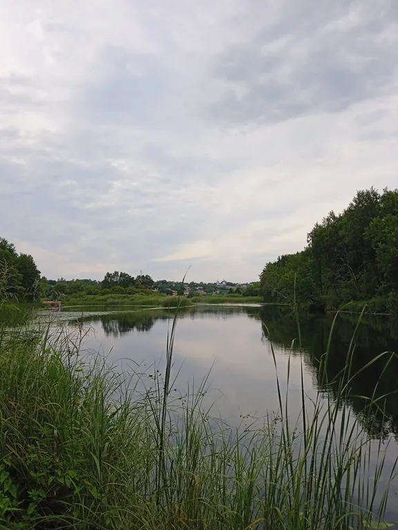 Тихий отдых