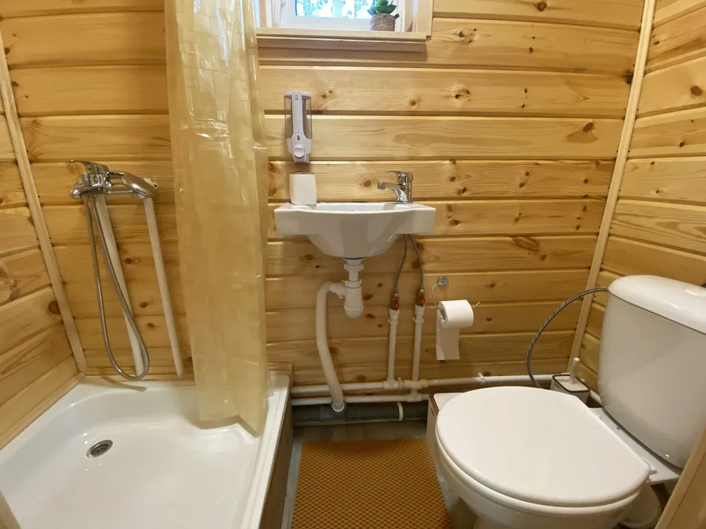 Дом  в березовой роще Заповедный