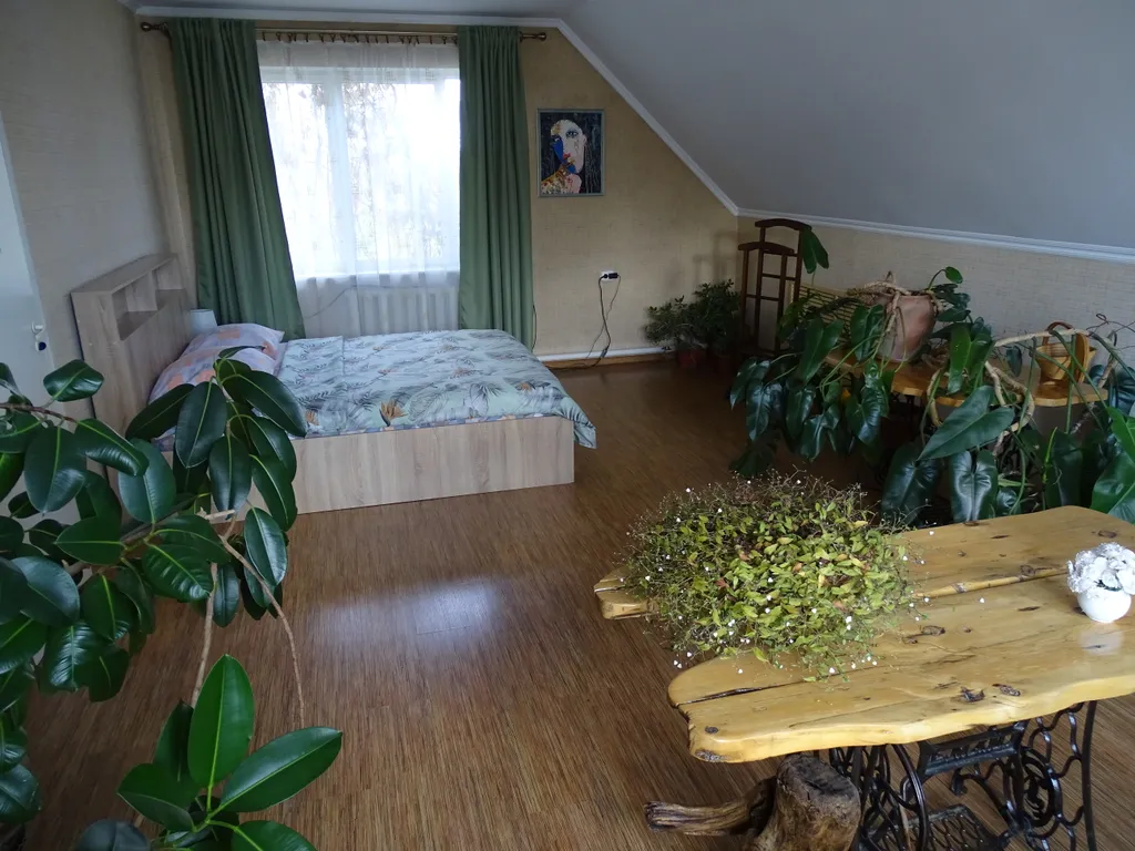 Дом под гнездом